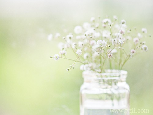 唯美小清新花卉风景图片素材