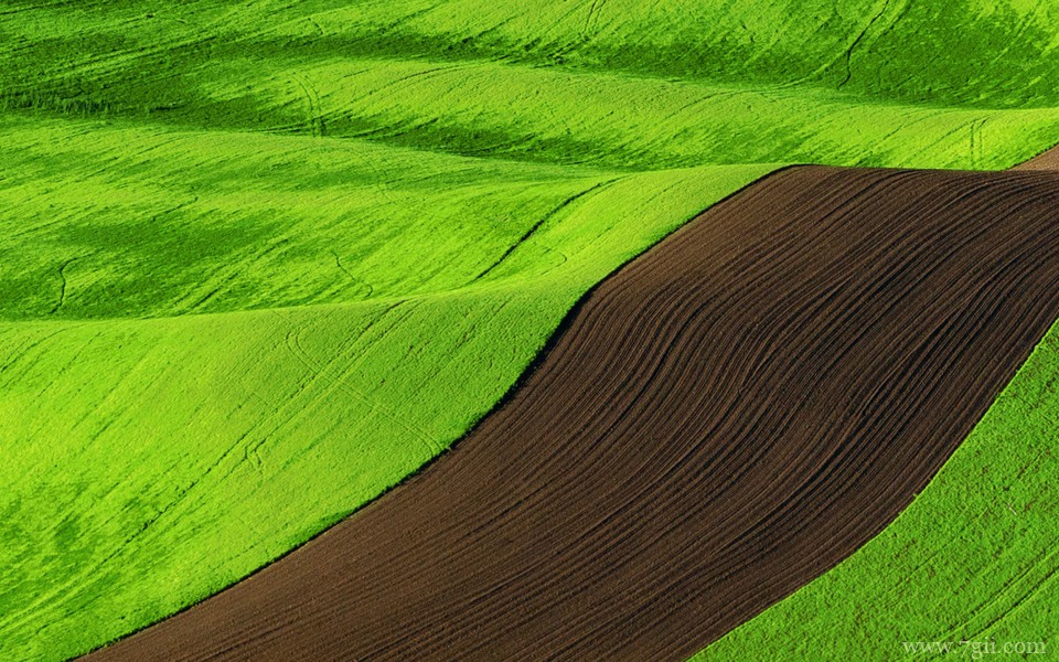 田园风光小清新花卉电脑风景壁纸