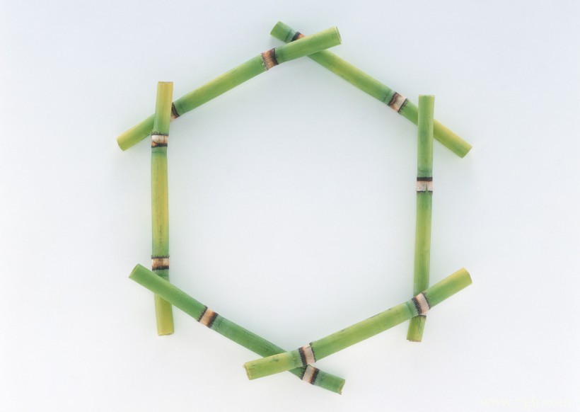 植物花卉边框的空间背景图片