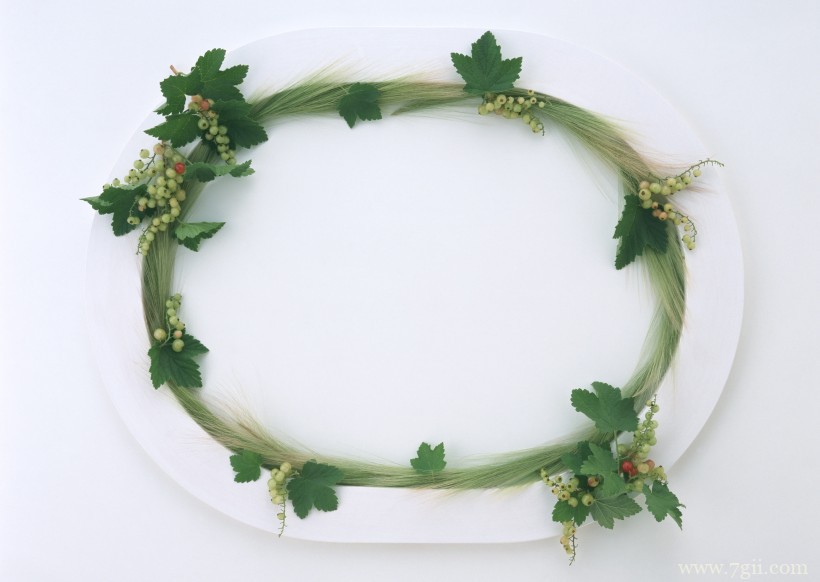 植物花卉边框的空间背景图片