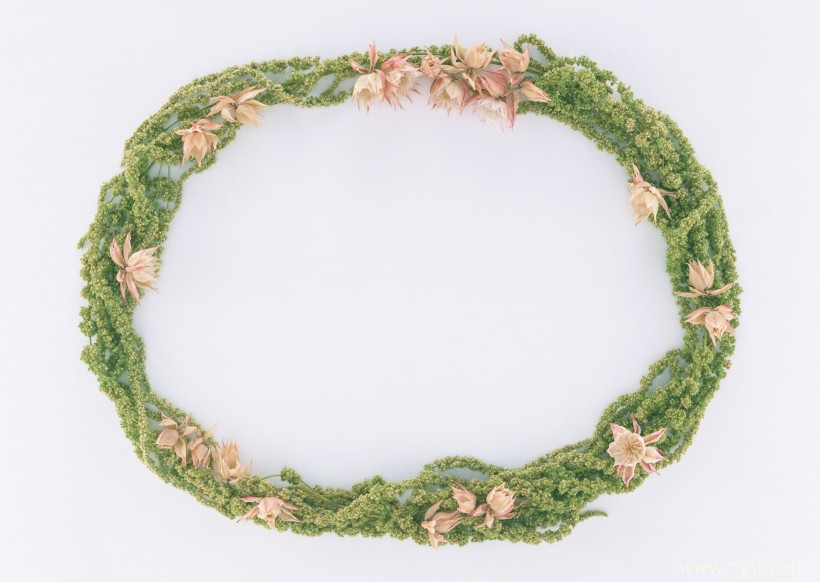 植物花卉边框的空间背景图片