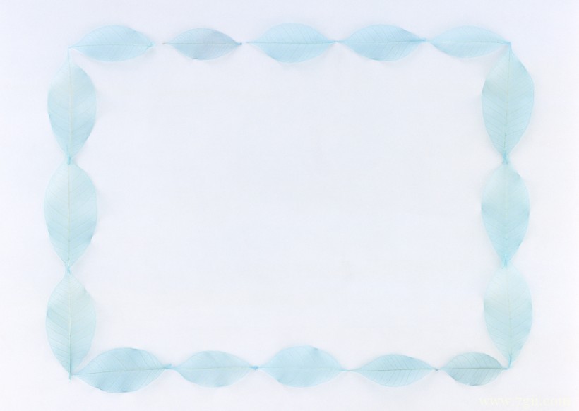 植物花卉边框的空间背景图片