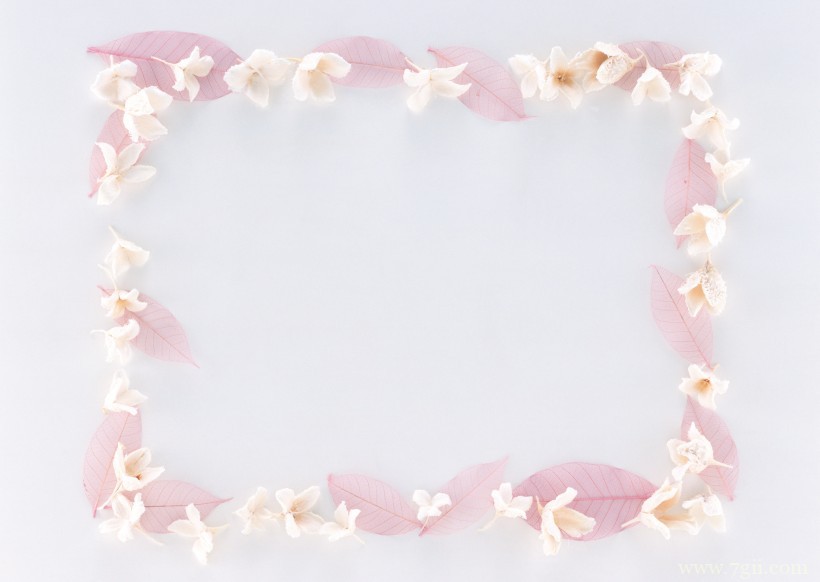 植物花卉边框的空间背景图片