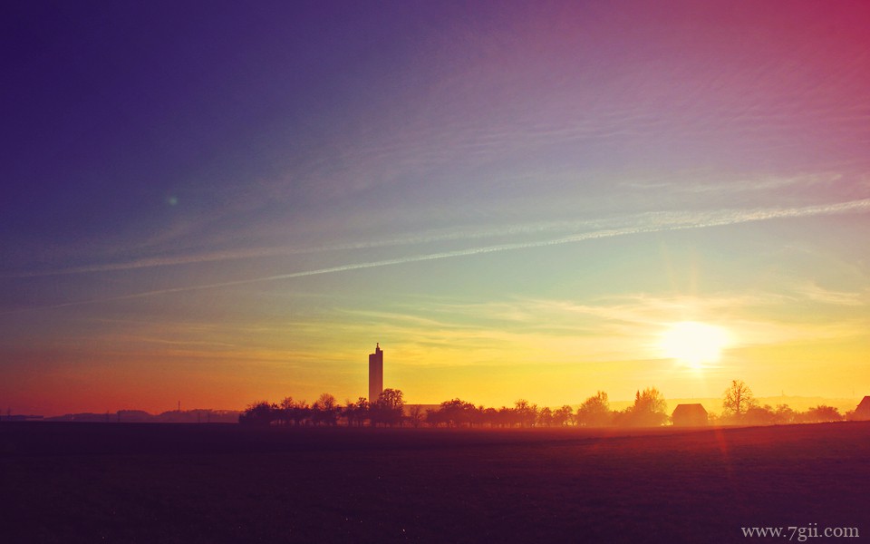 小清新花卉唯美风景桌面壁纸