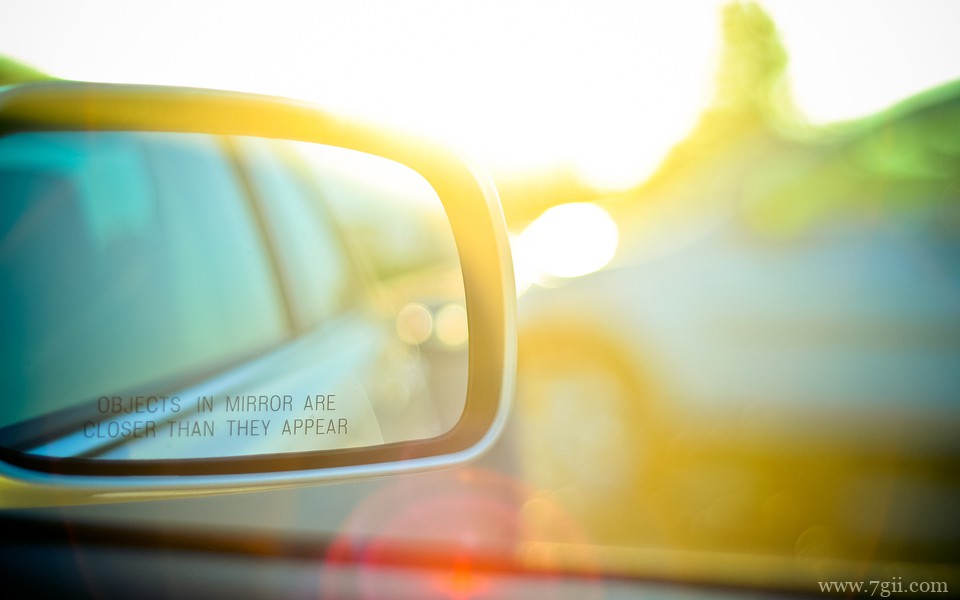 小清新花卉唯美风景桌面壁纸