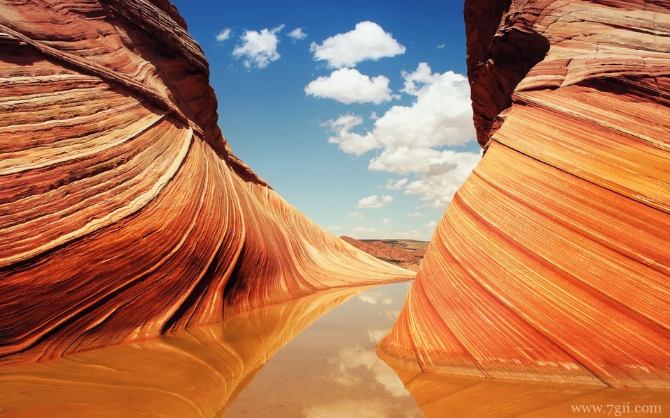 小清新花卉风景电脑壁纸超清