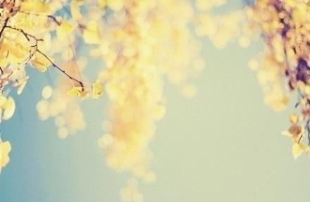 好看的花卉意境图片大全