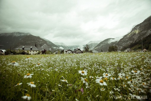 春天百花盛开的唯美图片写真