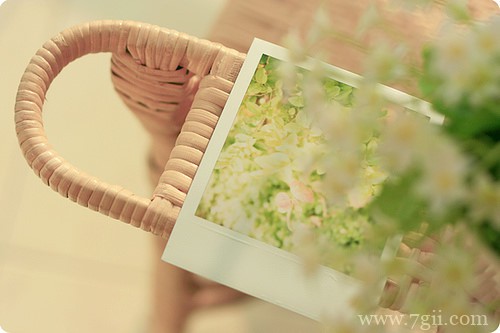 唯美风景图片大全高清花卉(1 /6 )