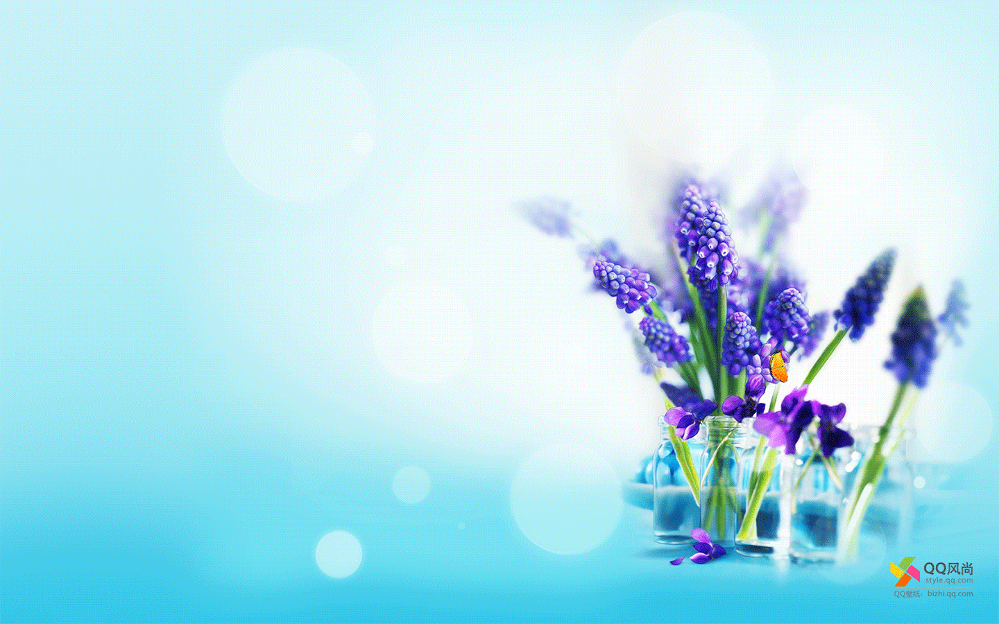 小清新绿色护眼植物花卉电脑动态桌面壁纸下载