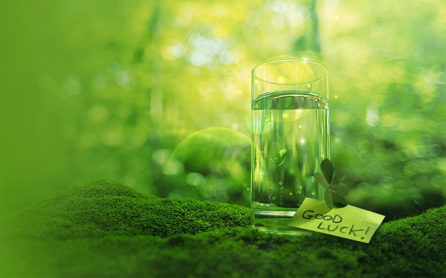 小清新绿色护眼植物花卉电脑动态桌面壁纸下载