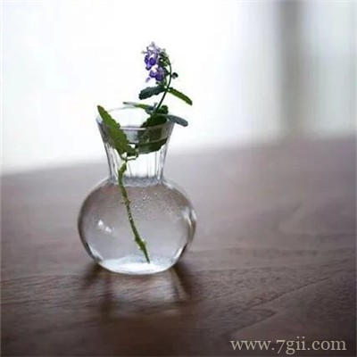 插在透明玻璃瓶中的花卉盆景唯美意境图片大全