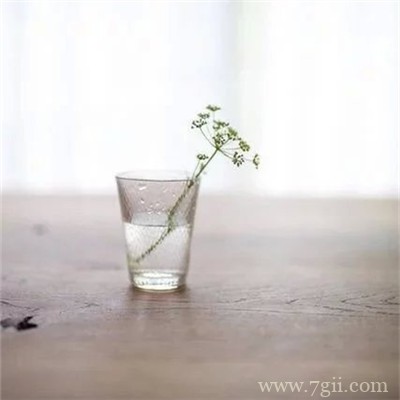 插在透明玻璃瓶中的花卉盆景唯美意境图片大全