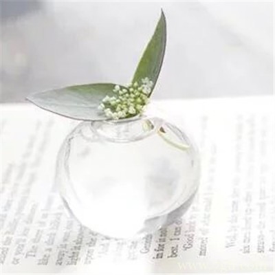 插在透明玻璃瓶中的花卉盆景唯美意境图片大全