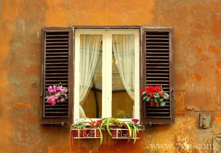 窗台前娇艳盛放的花卉意境图片唯美大图