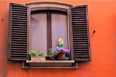 窗台前娇艳盛放的花卉意境图片唯美大图