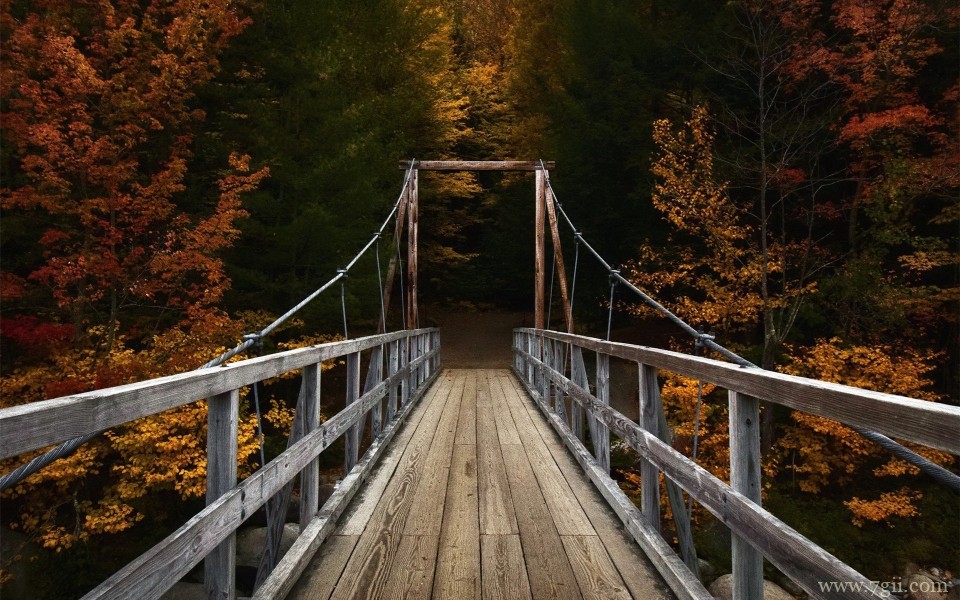 唯美养眼花卉意境写真(1 /6 )