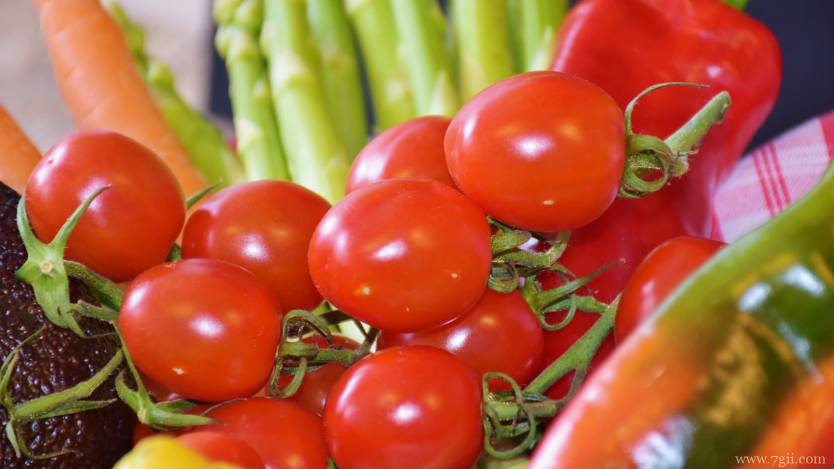番茄图片大全大图