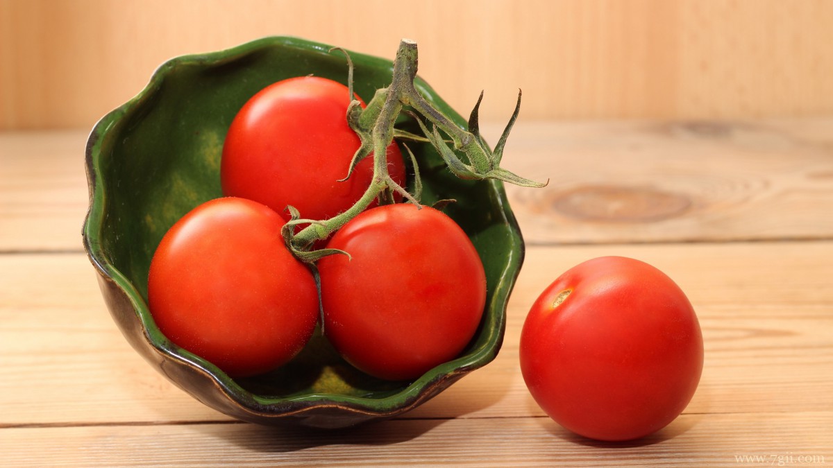 番茄图片大全大图