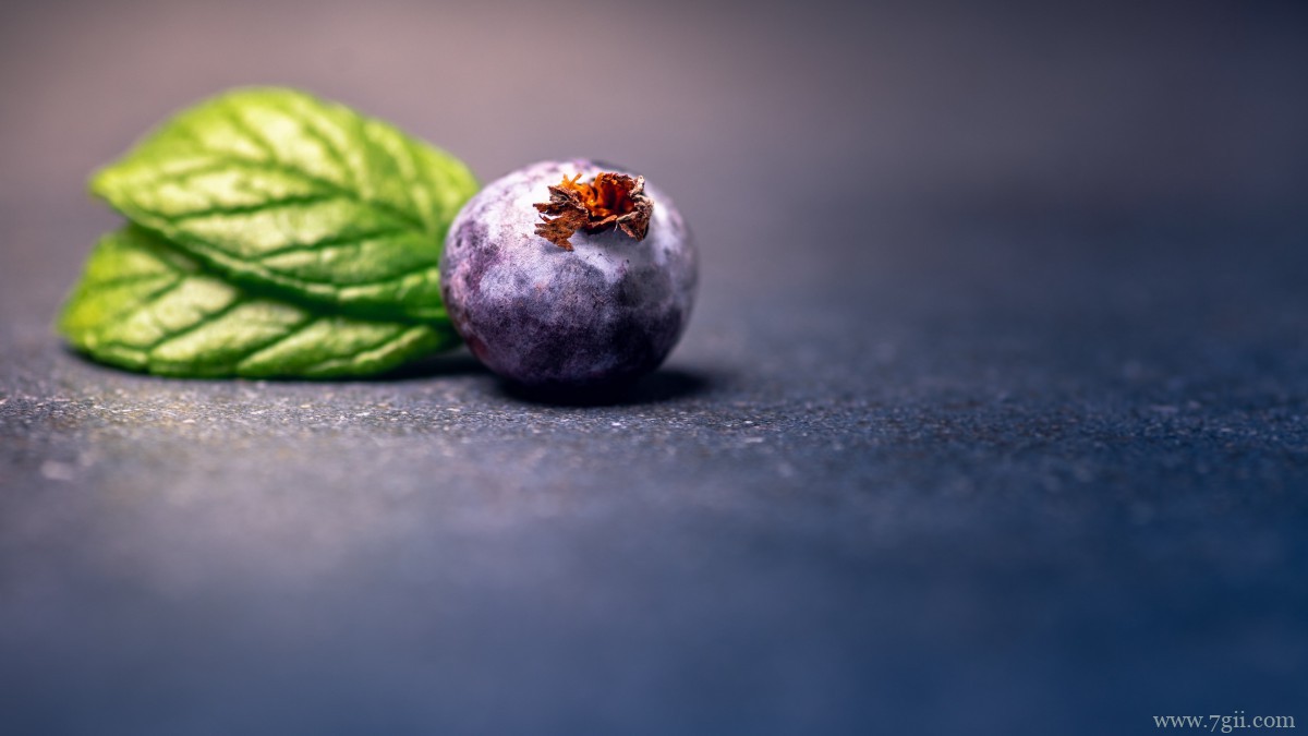 水果蓝莓图片大全