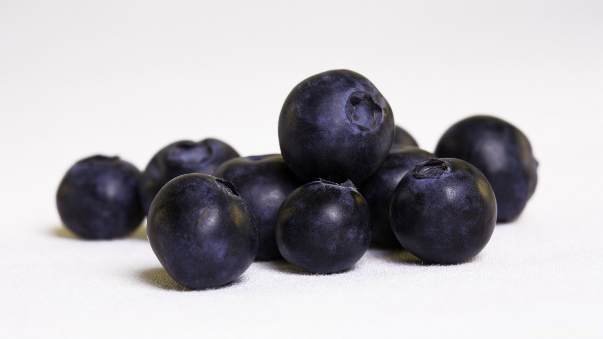 水果蓝莓图片大全