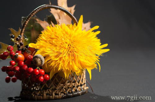 秋天花卉怎么养护 秋天怎么给花卉浇水(图)