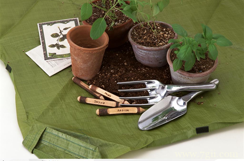 种花怎么选好土