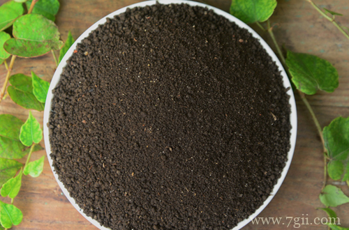 种花怎么选好土