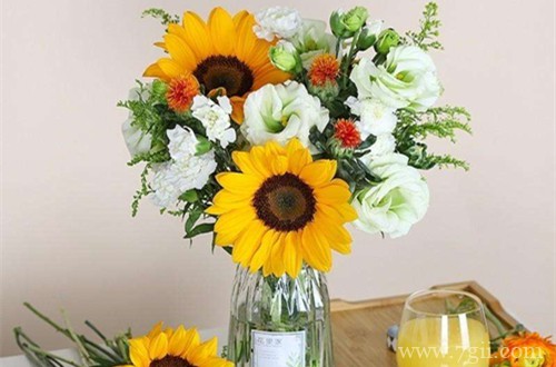 买回来的鲜花该如何处理,才可以让花期最大限度延长!