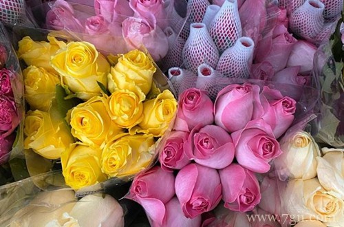 买回来的鲜花该如何处理,才可以让花期最大限度延长!