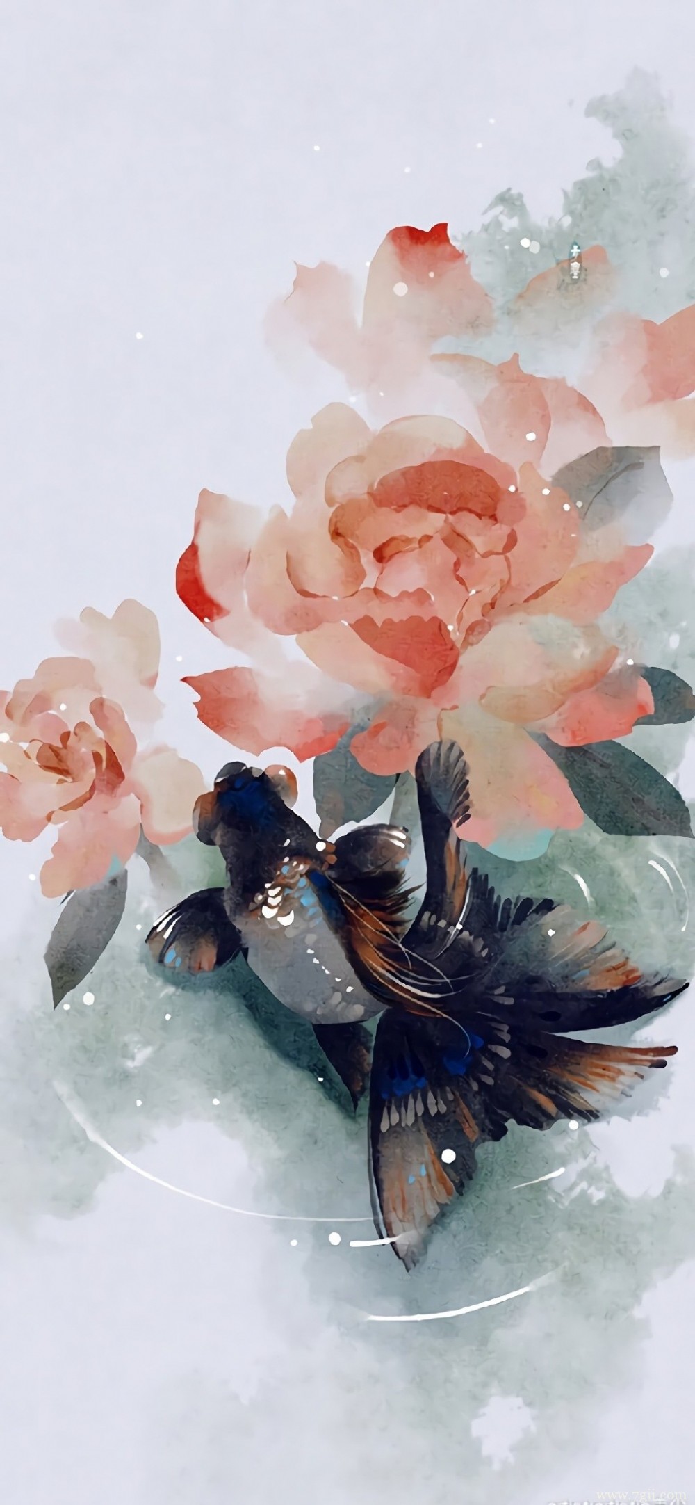 中国风唯美花卉池塘中游动的金鱼水彩图片