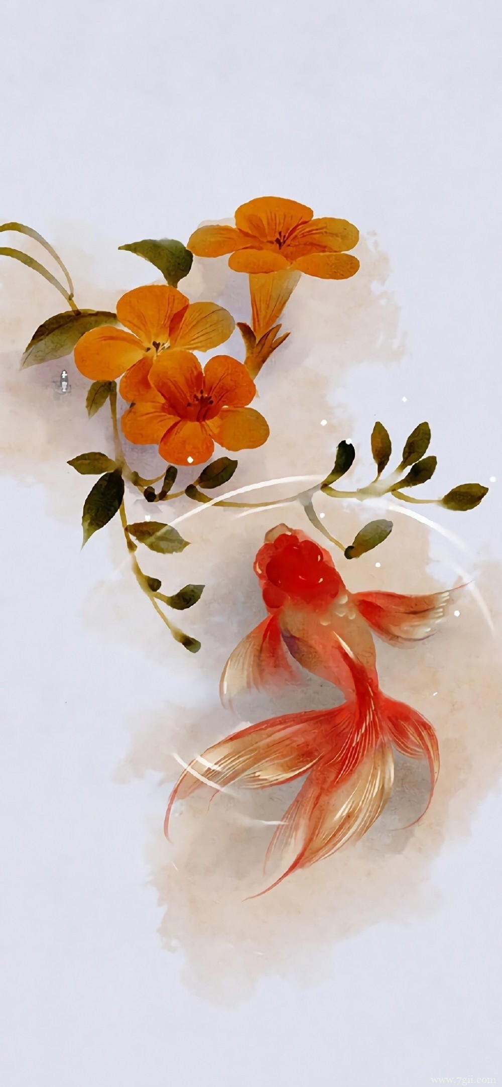 中国风唯美花卉池塘中游动的金鱼水彩图片