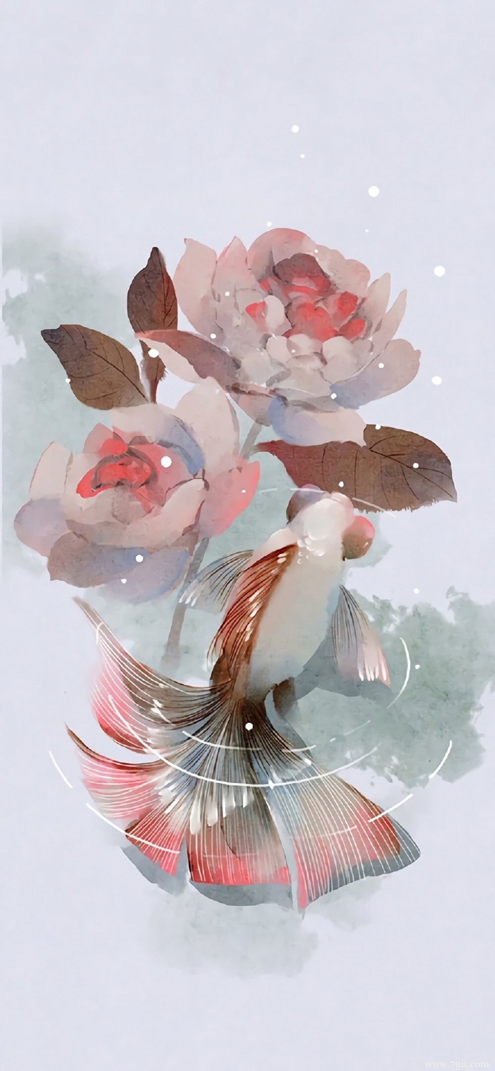 中国风唯美花卉池塘中游动的金鱼水彩图片