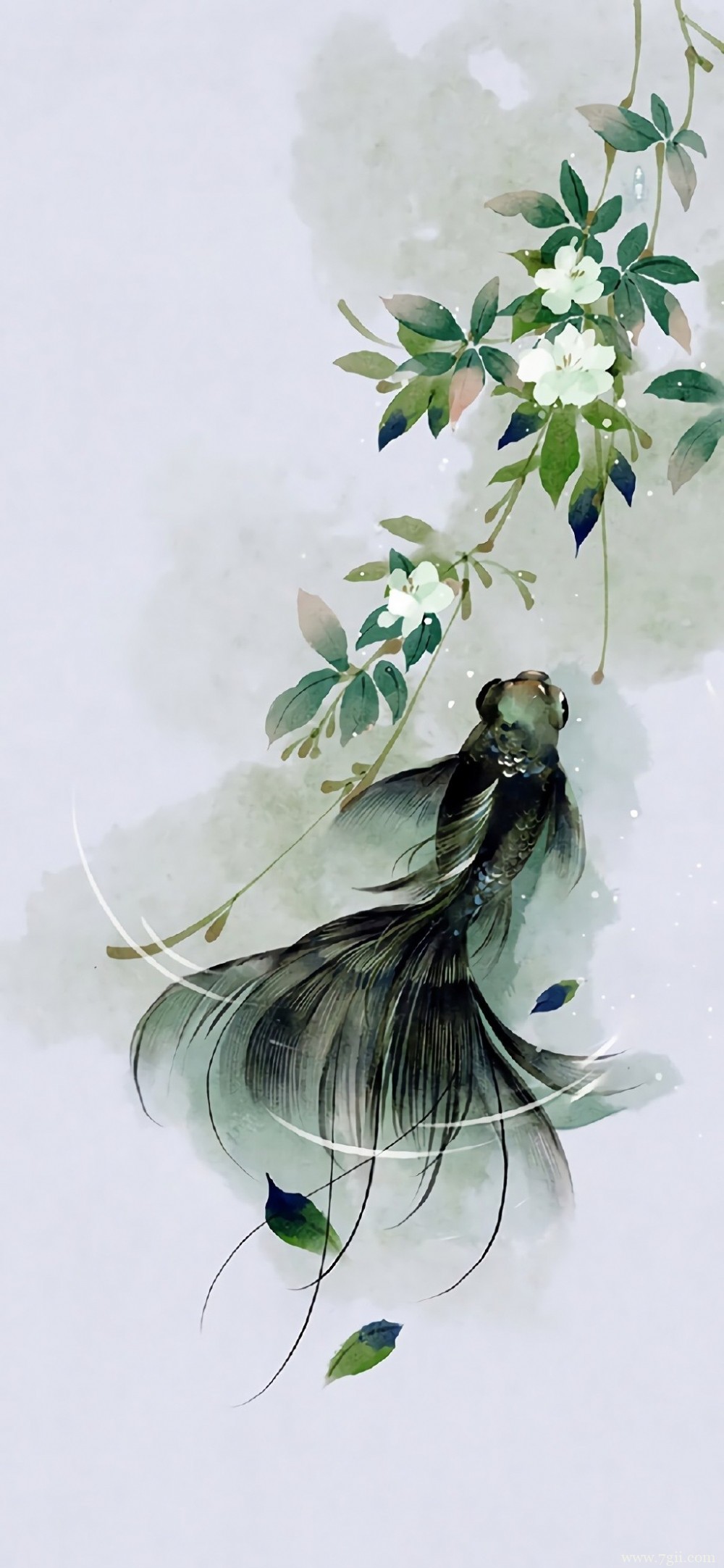 中国风唯美花卉池塘中游动的金鱼水彩图片