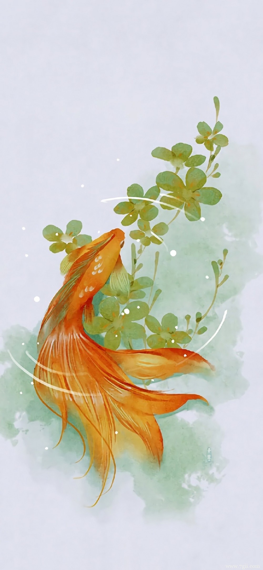 中国风唯美花卉池塘中游动的金鱼水彩图片