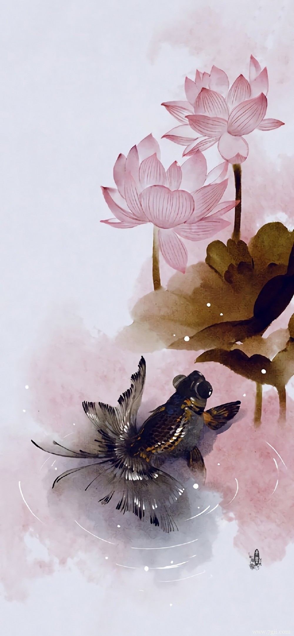 中国风唯美花卉池塘中游动的金鱼水彩图片