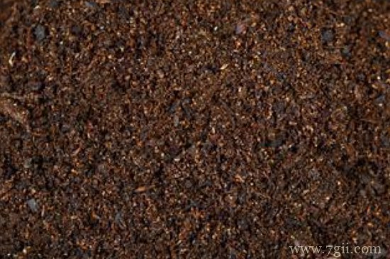 猫砂可以拌土养花吗