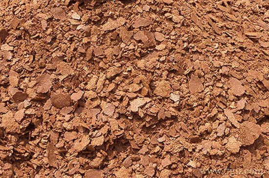 香油渣子怎么给花施肥