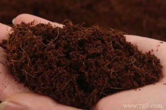 米糠可以做营养土种花吗