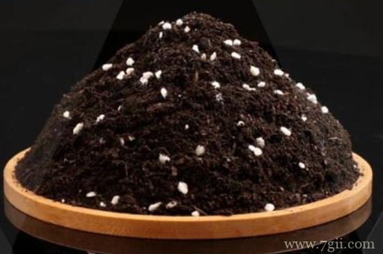 米糠可以做营养土种花吗