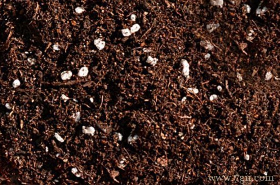 米糠可以做营养土种花吗