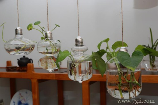 花瓶里面加什么延长鲜花寿命