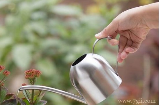 浇花的水要静置几天吗