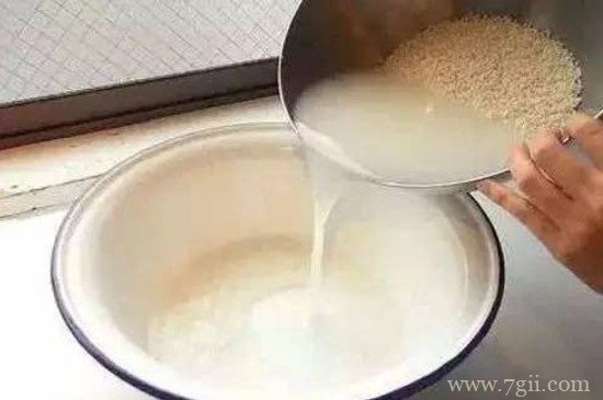 新鲜的淘米水可以浇花吗