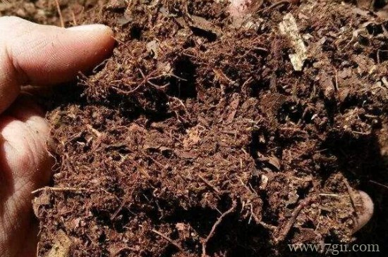 土壤怎么杀菌消毒