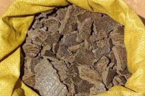 芝麻饼肥能直接撒花盆用吗