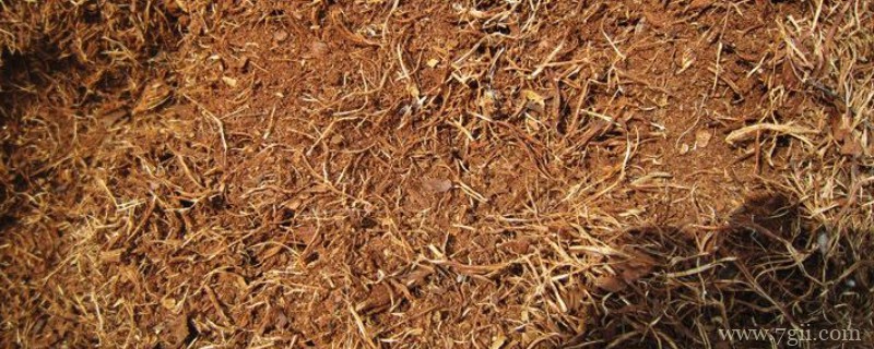 松针土的制作方法