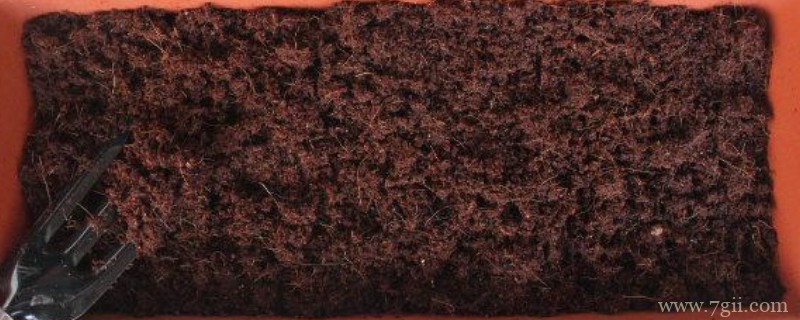 椰砖的使用方法及其注意事项