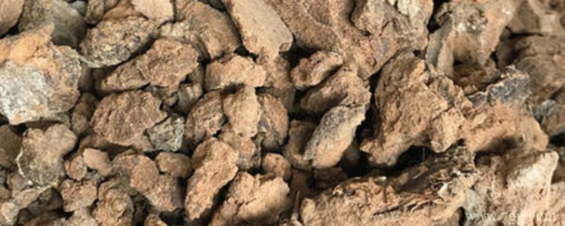 油渣怎么发酵做肥料