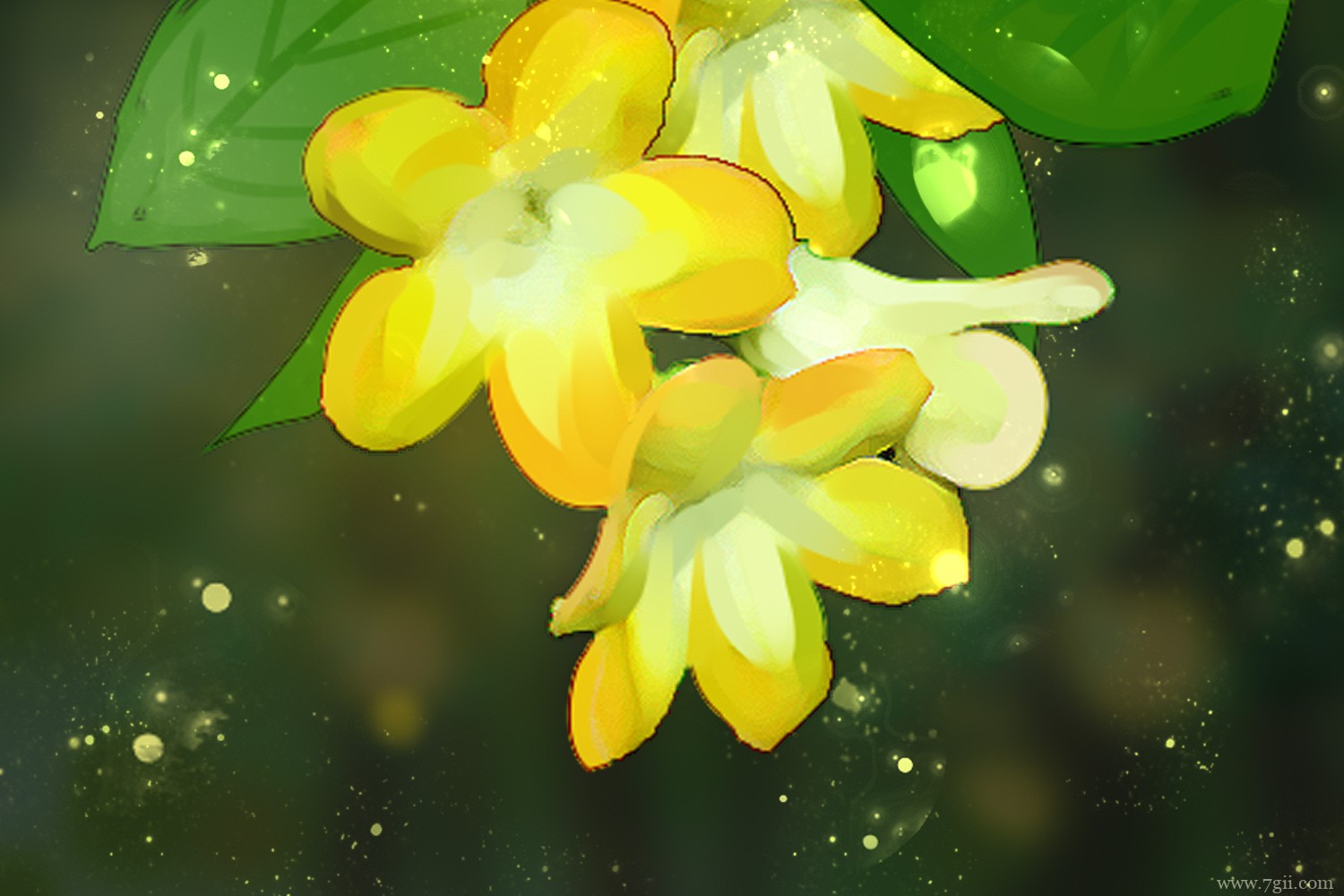 各种花开放的时间是几点